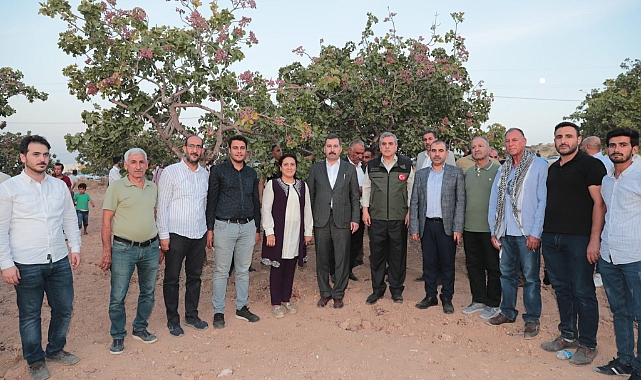 Başkan Beyazgül, “Dünyada Fıstığın Merkezi Şanlıurfa’dır”