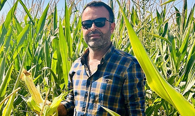 ZMO Başkanı Yılmaz açıkladı! Urfa’da mısır fiyatları belli oldu!