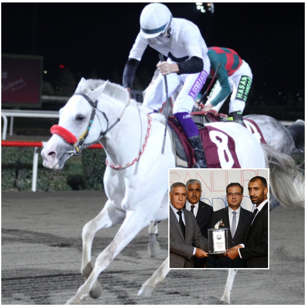 Hilvan Belediye Başkanlığı Koşusu ’nu İkinci Kez Hilvanlım Kazandı