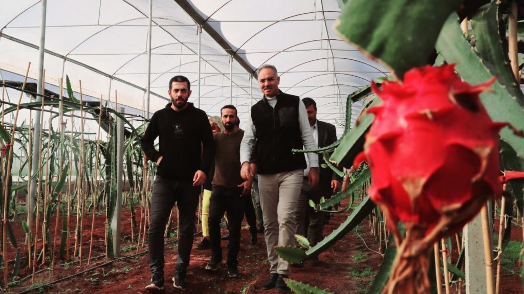 Şanlıurfa’da İlk Kez Eyyübiye’de Yetiştirildi