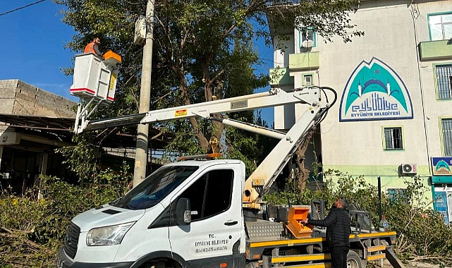 Eyyübiye Parklarında Bakım Zamanı