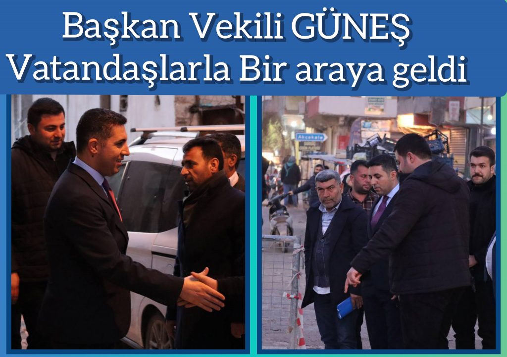 Başkan Vekili Güneş  hem çalışmaları inceledi hem de vatandaşlarla bir araya geldi