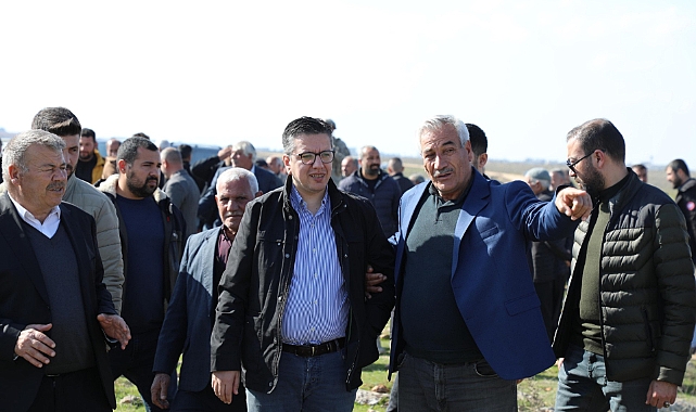 Başkan Albayrak mera ve hayvancılık için sahada