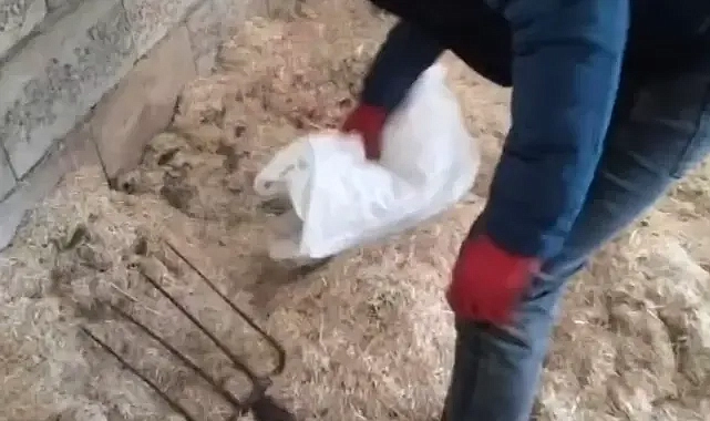 Şanlıurfa’da yüklü miktarda ele geçirildi!
