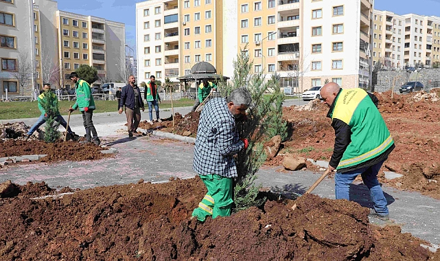 Seyrantepe’de 21 bin metrekare üzerinde yeşil alan çalışmaları sürüyor
