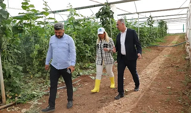 Eyyübiye Sera Kent Çiftçilere Eğitim Desteği Verecek