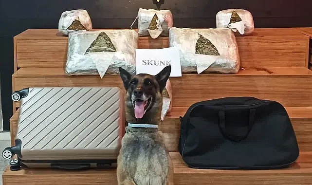 Urfa’da skunk operasyonu! Bir kişi yakalandı