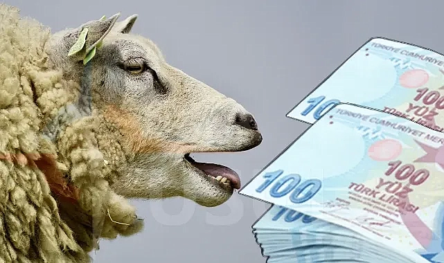 2024 yılı kurbanlık fiyatları ne kadar?