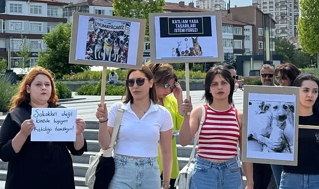 HayFed, Şanlıurfa’daki yöneticiler hakkında suç duyurusunda bulunacak!