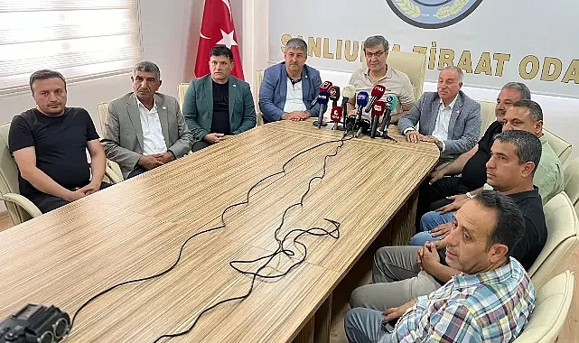 Şanlıurfa Ziraat Odası Başkanlarından Hububat Fiyatlarına Tepki: “Çiftçiye Darbe”
