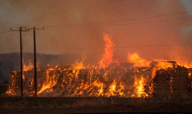 Urfa’da dev yangın! Binlerce ton kül oldu!