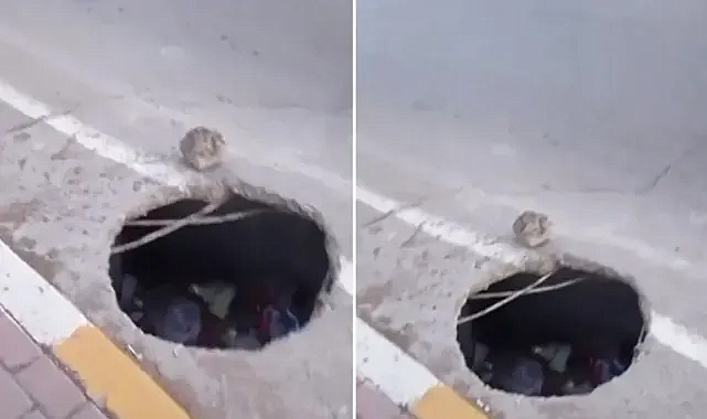 Şanlıurfa’da obruk gibi çukur oluştu! Taşla önlem alındı!