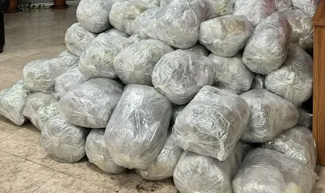 Şanlıurfa’da bir araçtan çıkanlar şoke etti