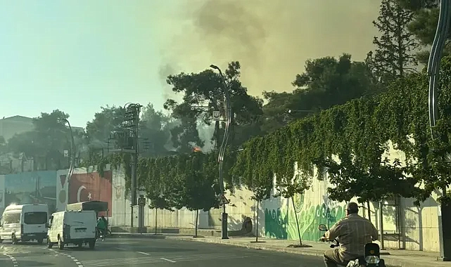 Urfa’da askeri alanda yangın çıktı!