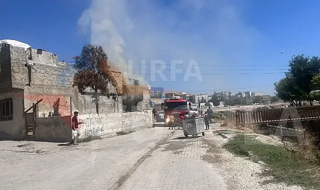 Şanlıurfa’da korkutan yangın!