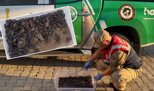 Urfa’da izinsiz toplatıldı! 387 bin TL para cezası kesildi!