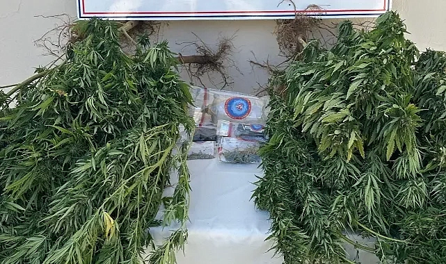 Urfa’da zehir tacirlerine darbe!