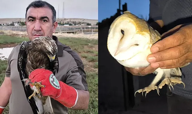 Ekipler, onlar için harekete geçti