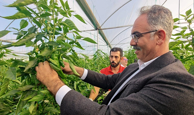 Eyyübiye’nin Süs Bitkileri Sera Kent’ten