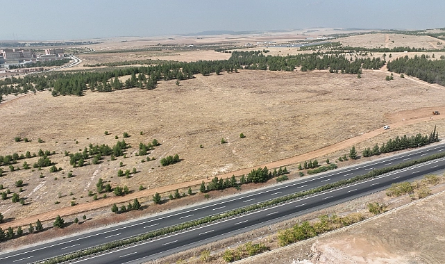 Şanlıurfa Büyükşehir Belediyesi 100 Dönümlük Hatıra Ormanı İçin Hazırlıklara Başladı