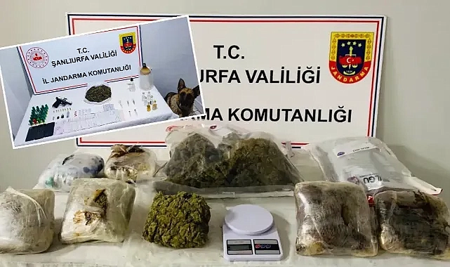 Şanlıurfa’da 7 adrese operasyon! Uyuşturucu, tabanca, para ele geçirildi