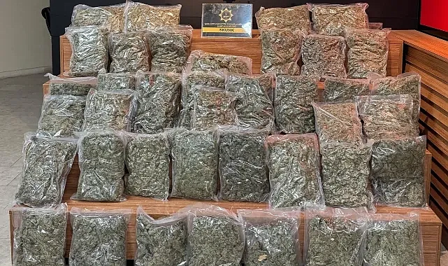 Şanlıurfa’da mücadele sürüyor!