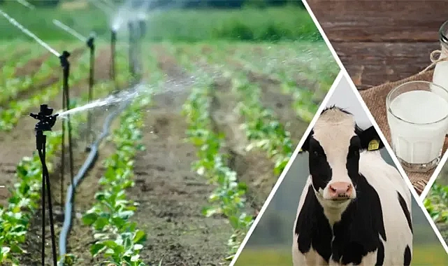Çiftçiler dikkat! Ödemeler yapılıyor