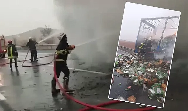 Duman yükseldi! Şanlıurfa-Birecik Karayolunda TIR yangını!