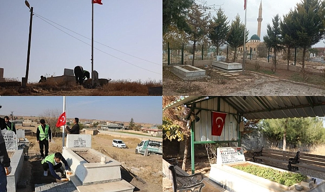 Harran Belediyesi Şehit Mezarlarında Bakım Çalışmalarını Yaptı