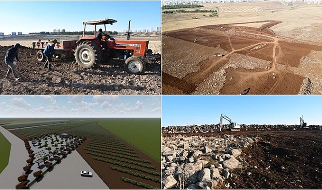 Siverek’te şire bağları ve meyve bahçeleri projesine başlandı