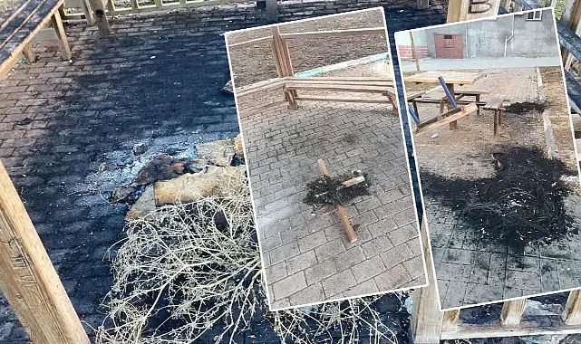 Urfa’daki park ateşe verilip tahrip edildi!