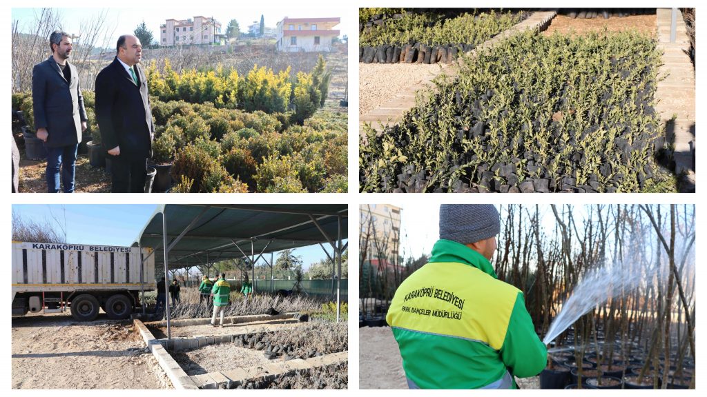 KARAKÖPRÜ’DE KENTİ YEŞİLLENDİRECEK FİDANLAR ÜRETİLİYOR