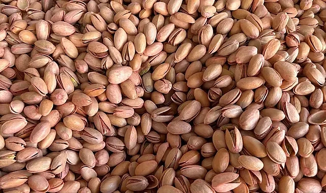 Akbaş uyardı! Depolarda bozulmuş İran fıstığı, Urfa fıstığının kalitesine sekte vuruyor!