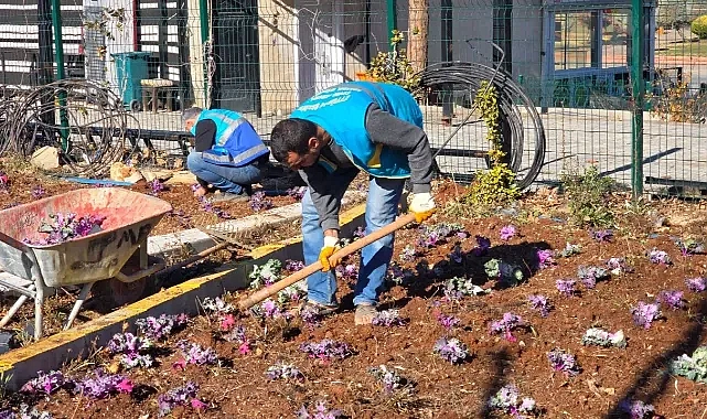 Eyyübiye’de parklarda çalışmalar sürüyor