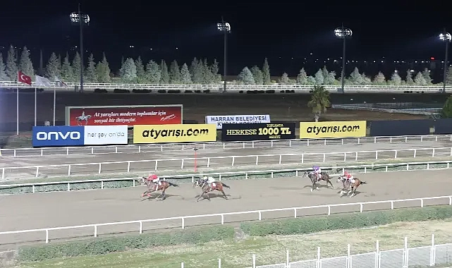 Harran Belediyesi Koşusunda kazanan belli oldu!