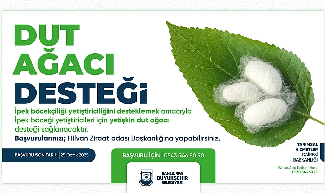 Şanlıurfa Büyükşehir Belediyesi’nden İpek Böceği Yetiştiriciliğine Destek