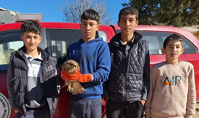 Şanlıurfa’da çocuklar yaralı halde buldu!