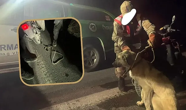 Şanlıurfa’da ‘vicdan kalmamış’ dedirten olay!