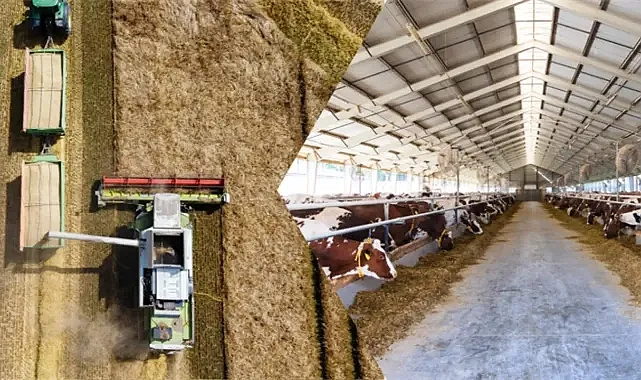 Çiftçilere ödeme yapılıyor!