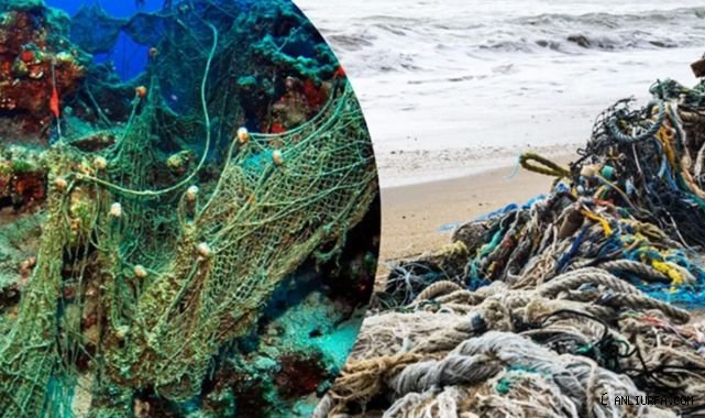 Denizlerdeki büyük tehlike! 224 futbol sahası büyüklüğünde!