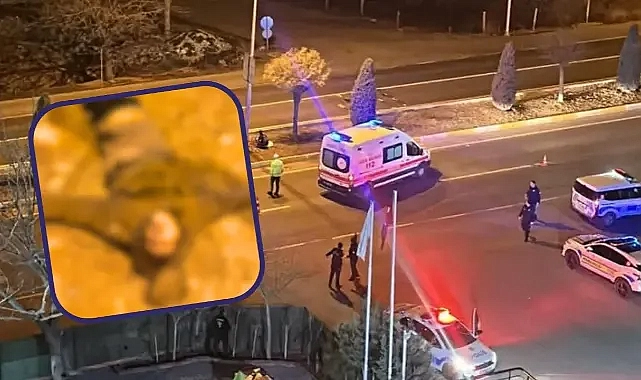 Şanlıurfa’da feci ölüm!