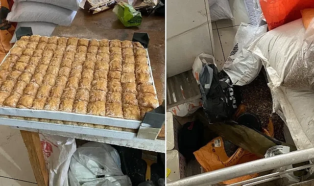 Urfa’da şok edici manzara! Farelerin deforme ettiği fıstık ve cevizden baklava yaptılar!