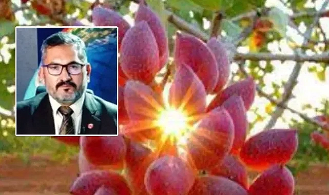 Akbaş’tan Urfa Fıstığıyla ilgili önemli çıkış: İşletme ve pazarlamada da lider olacağız!