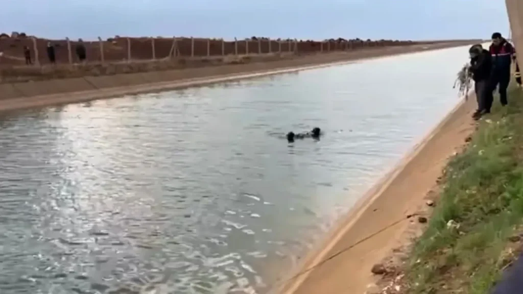 Urfa’daki çobanın acı ölümü!