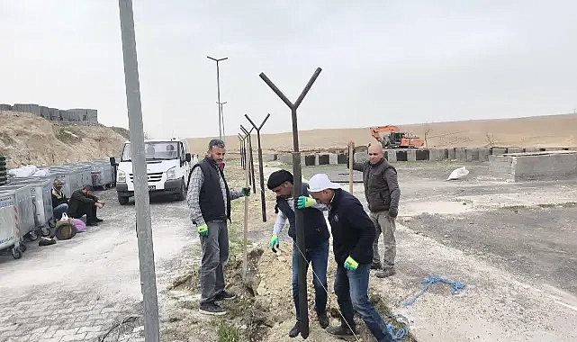Ceylanpınar Belediyesi Sokak Hayvanlarına yönelik geçici barınak