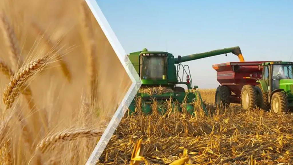 Çiftçilere büyük müjde! Paralar geliyor!