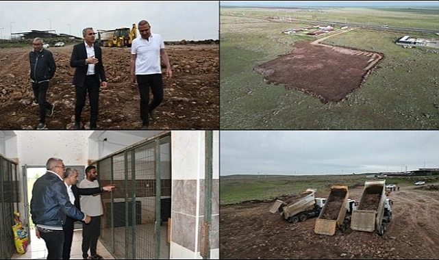 Siverek Belediyesi Sokak Hayvanları İçin Doğal Yaşam Alanı Oluşturuyor