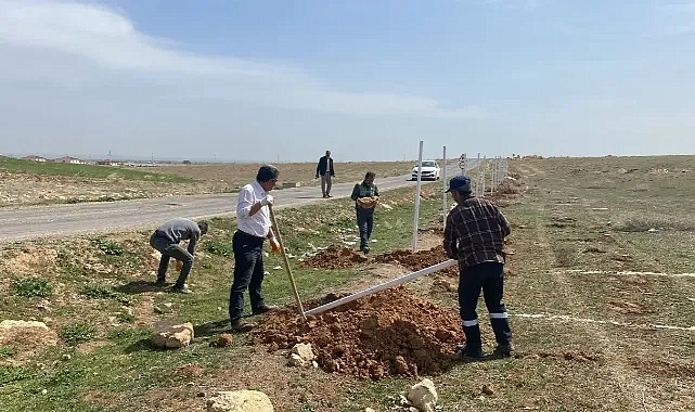 Suruç Belediyesi’nden Sokak Hayvanları İçin Örnek Proje