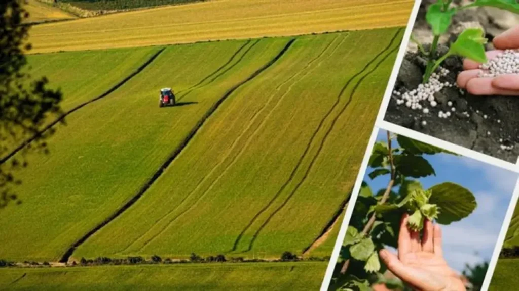 Hesaplarınıza bakmayı unutmayın!