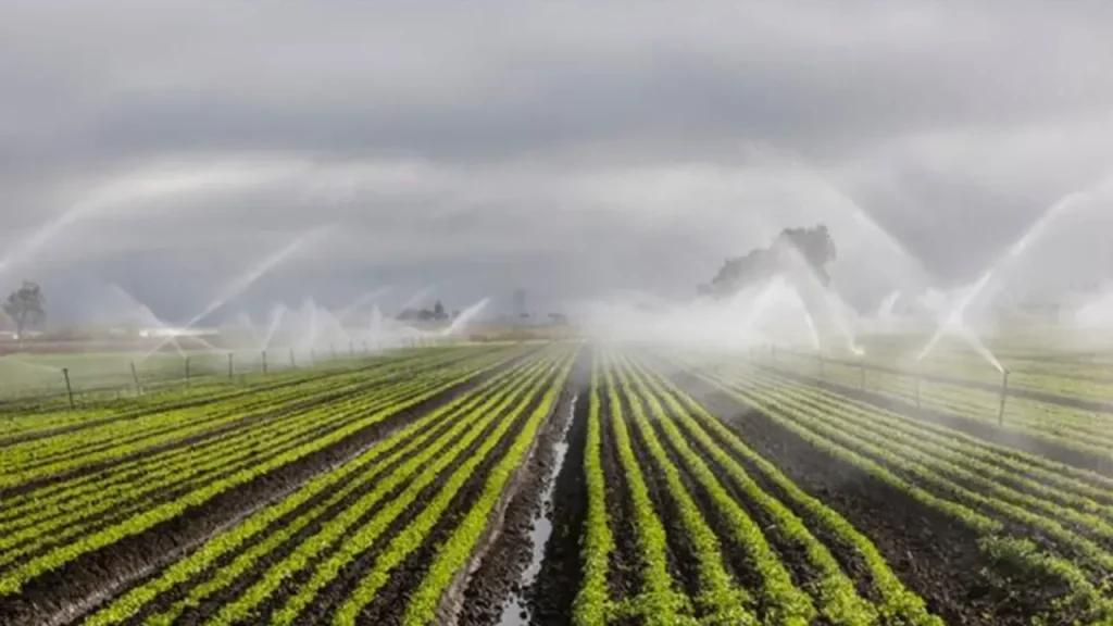 Tarımda yapay zeka ile ilgili yeni gelişme!
